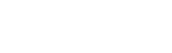 logo light
